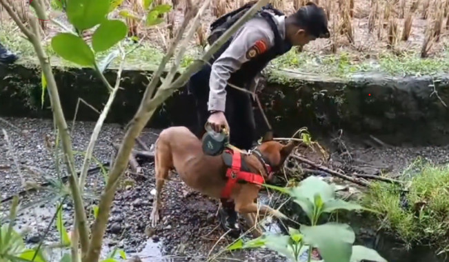 Polisi Tetapkan Tersangka di Kasus Pembunuhan Gadis Penjual Gorengan di Padang Pariaman
