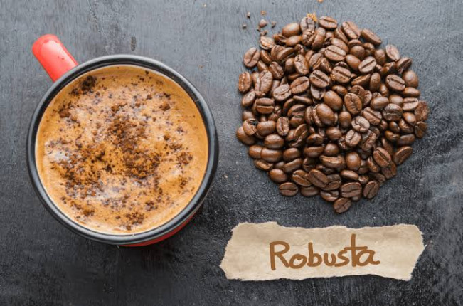 Sering Tremor? Dua Cangkir Kopi Robusta Sehari Bisa jadi Solusi