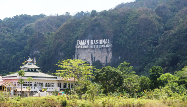 Miliki Endemisitas Tinggi, Inilah Satwa-satwa Asli Sulawesi!