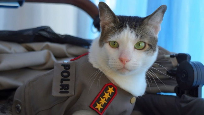 Viral Bobby Kertanegara Kucing Prabowo Dapat Pengawalan Polisi, Perlu atau Berlebihan?