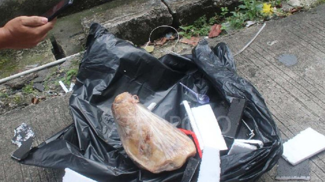 Apa Arti Teror Kepala Babi dan Bangkai Tikus yang Ditujukan Pada Tempo?