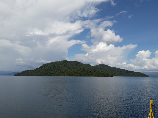 Temuan Ular Air Baru, Genapkan Ular Sulawesi Jadi 60 Spesies