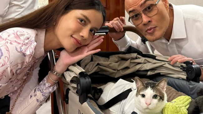Daftar Lengkap Harta Kekayaan Deddy Corbuzier Nyaris Rp 1 Triliun