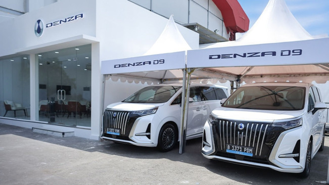 Denza D9.