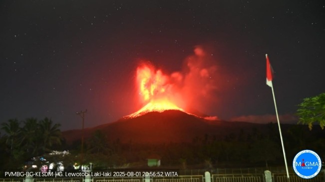 Minta Warga Keluar dari Zona Bahaya Gunung Lewotobi Laki-laki, BNPB: Gunung Ini Sudah Tidak Aman
