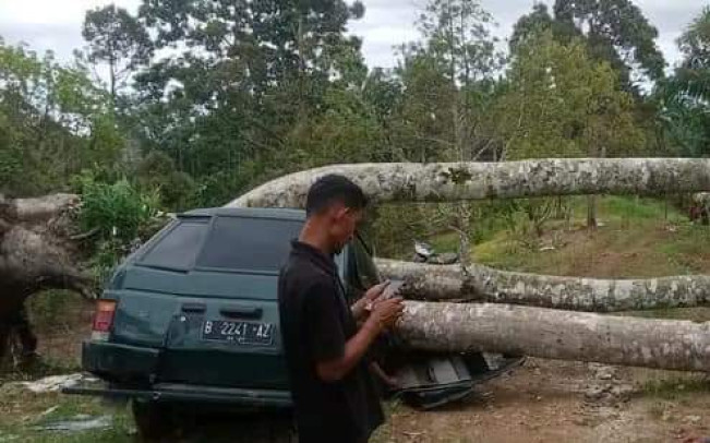 Tragis Mobil Sekeluarga Tertimpa Pohon di Kebun Durian Langkat, Renggut 3 Nyawa