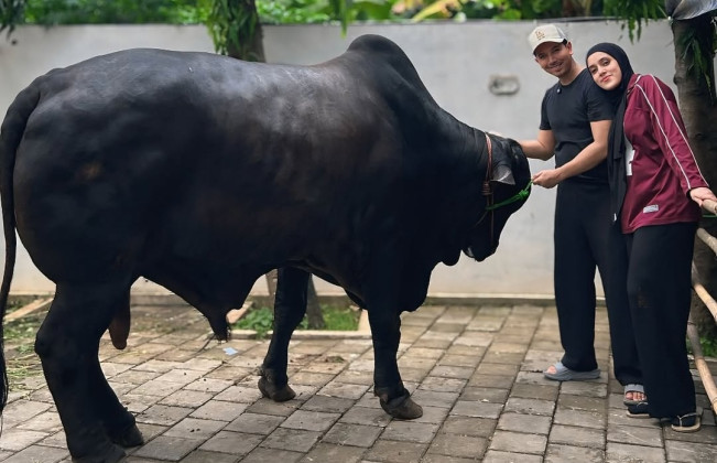 Innalillahi, Kaki Fairuz A Rafiq Terinjak Sapi Kurban Hadiah Raffi Ahmad, Begini Kondisinya