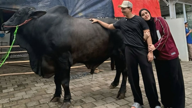 Kronologi Fairuz A Rafiq Diinjak Sapi Seberat 1,2 Ton, Dilarikan ke RS