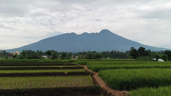 Tidak Jauh Dari Jakarta, Deretan Tempat Wisata Bogor Ini Cocok Untuk Habiskan Akhir Pekan