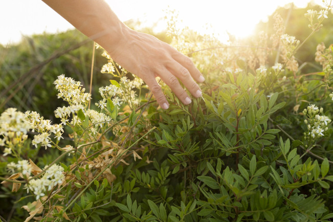 IKN Bakal Punya Rumah Sakit Ramah Lingkungan, Ada "Healing Garden"