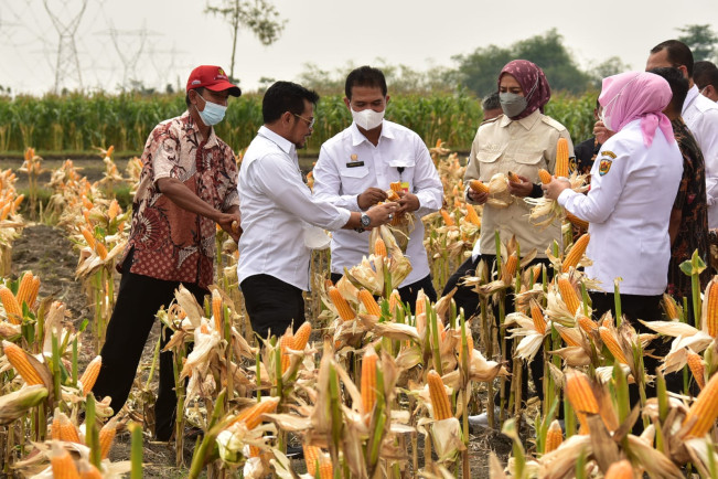 Kementan Pastikan Stok Pangan Aman Hingga Lebaran Tahun ini