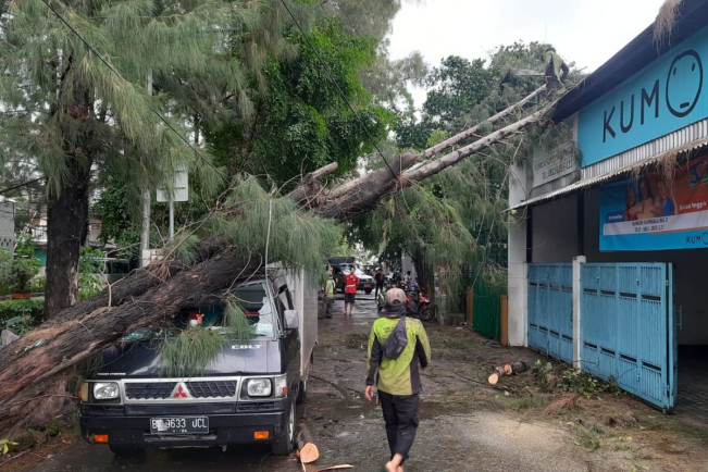 Pohon Tumbang di Jakarta, DPRD: Perlu Ada Evaluasi