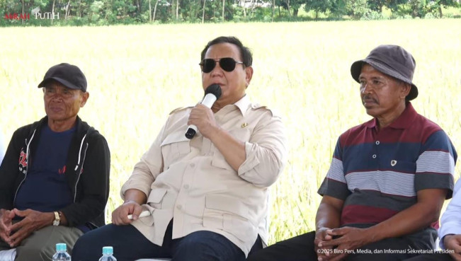 Hari Raya Idul Fitri 2025 Berjalan Lancar dan Aman, Prabowo: Terima Kasih Semua