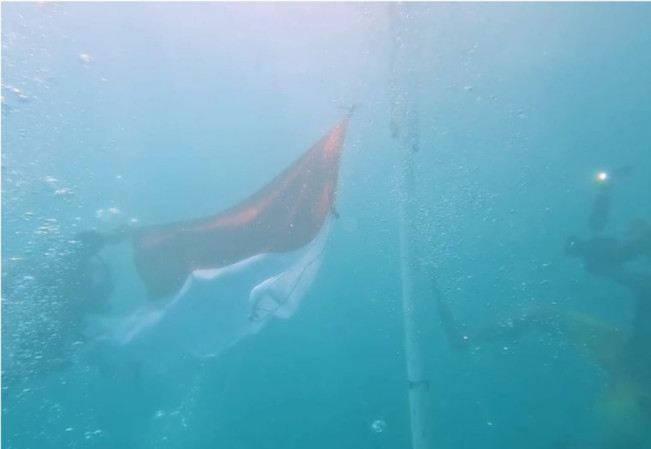 Sebanyak 50 Peselam Kibarkan Merah Putih di Dasar Laut Teluk Lampung