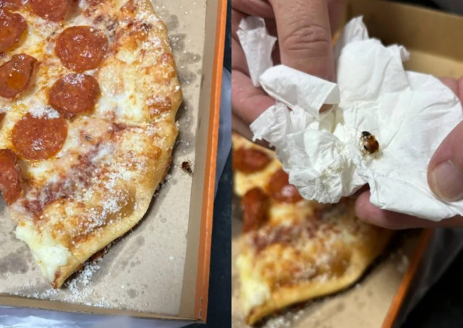 Lagi Asyik Makan Pizza, Netizen Ini Malah Nemu Bayi Kecoa