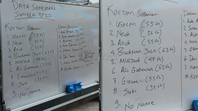 Ini Dia Identitas Korban Kebakaran Glodok Plaza yang Masih Dalam Pencarian