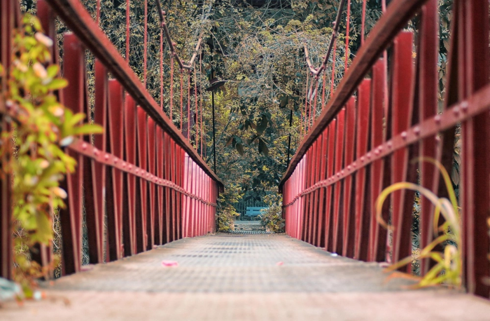 Makan Enak di Bogor! Ini 7 Kuliner Ikonik yang Wajib Kamu Cicipi