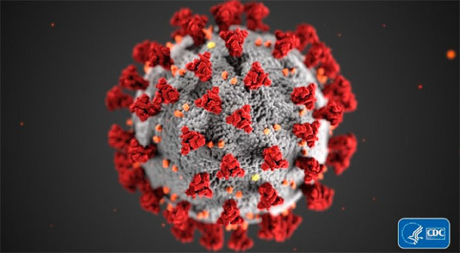 Ilustrasi virus Covid-19. [Dok. Istimewa]