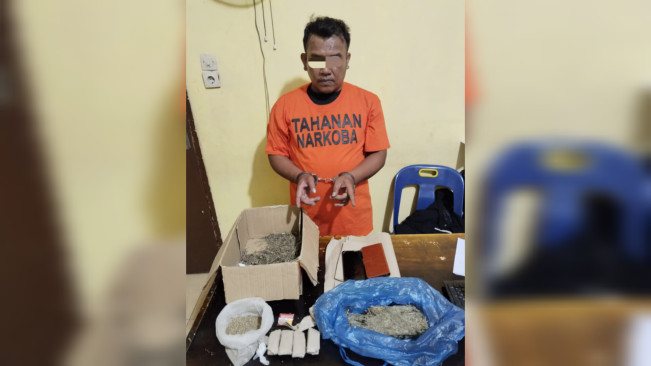 Polisi Tangkap Pengedar Ganja di Samosir, Ini Barang Buktinya