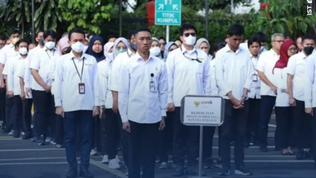 Masyarakat Wajib Tahu! Ini Perbedaan PPPK Paruh dan Penuh Waktu
