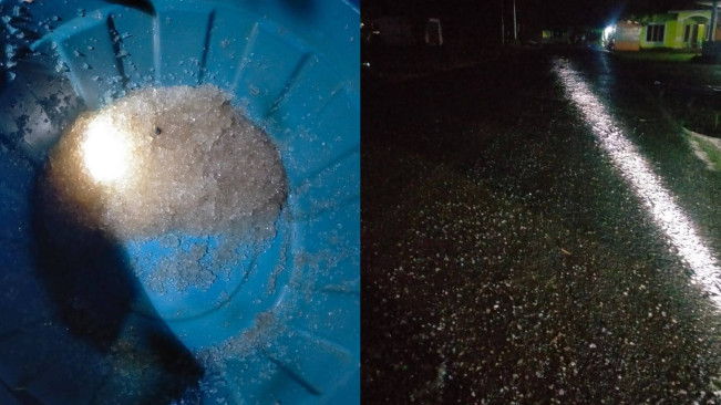 Viral Hujan Jelly di Gorontalo, Disebabkan Telur Kodok, Ubur-ubur atau Limbah?