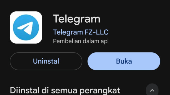 Aplikasi Telegram. [Playstore]