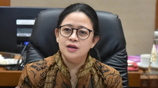 Puan Maharani: Pemerintah Harus Bergerak Cepat Hadapi Ancaman Virus Hanta