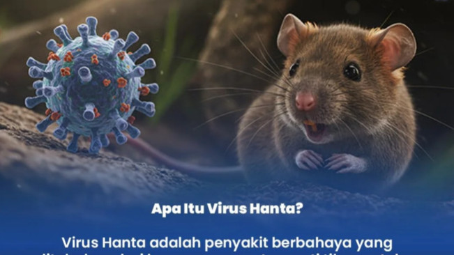 Virus Hanta tipe Haemorrhagic Fever with Renal Syndrome (HFRS), virus yang ditularkan dari tikus. [Instagram]