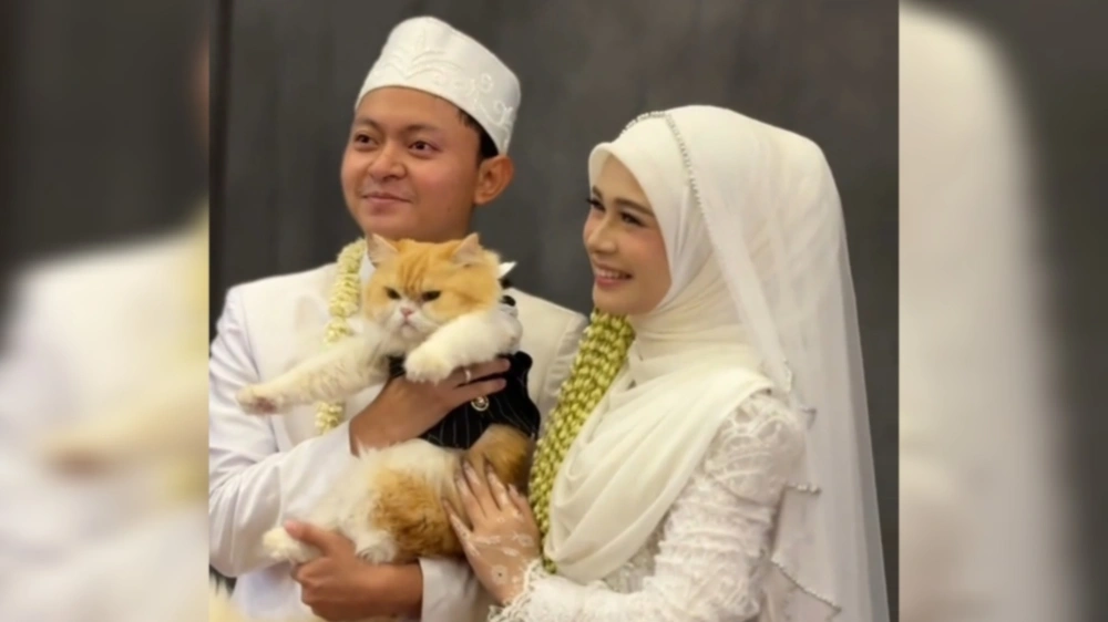 Pengantin viral dengan mahar kucing Persia. [TikTok/@glowingbjmgroup]