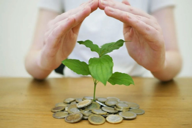 Ilustrasi investasi tumbuh. [Istimewa]