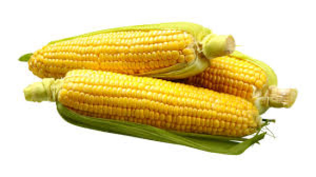 Bahaya Kebanyakan Makan Jagung, Ini 10 Efek yang Harus Diperhatikan!