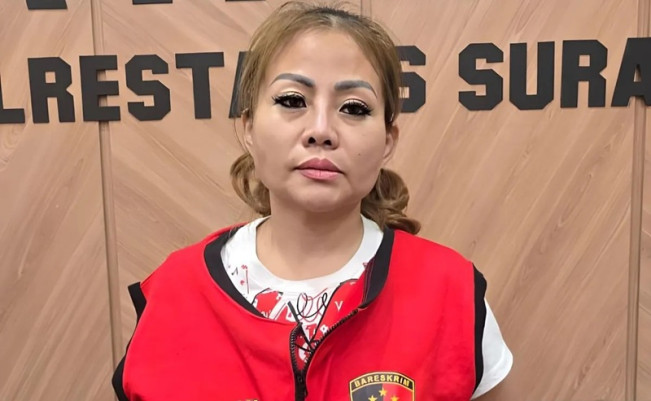 Masih Ingat Jan Hwa Diana Bos yang Tahan Ijazah Pegawai? Kini Ditahan Polisi Kasus Perusakan Mobil