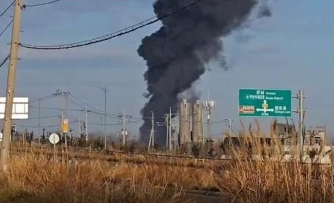 Kementerian Luar Negeri Pastikan Tak Ada WNI Jadi Korban Kecelakaan Pesawat Jeju Air
