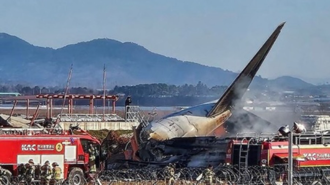 Temuan Baru Investigasi Kecelakaan Jeju Air, Ada DNA Bebek Dalam Mesin Pesawat