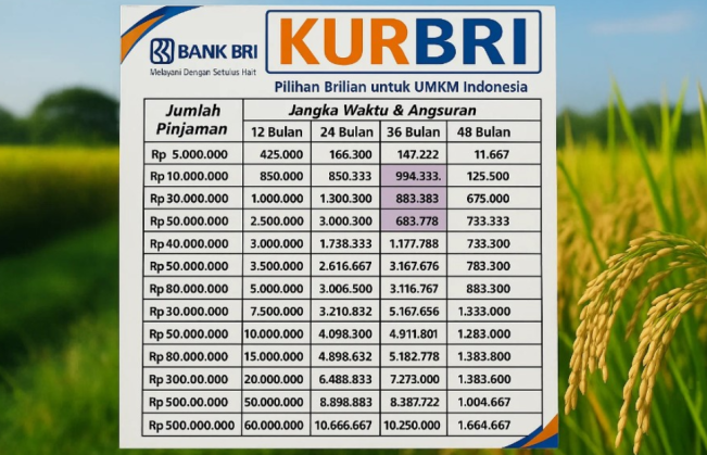 UMKM Wajib Tahu! Pinjaman Besar KUR BRI 2025 Dibuka, Syarat Gampang dan Tenor Panjang