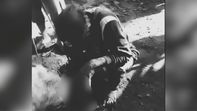 Kambing kurban yang bangun lagi berhasil dirobohkan seorang warga. [Instagram @merapi_uncover]