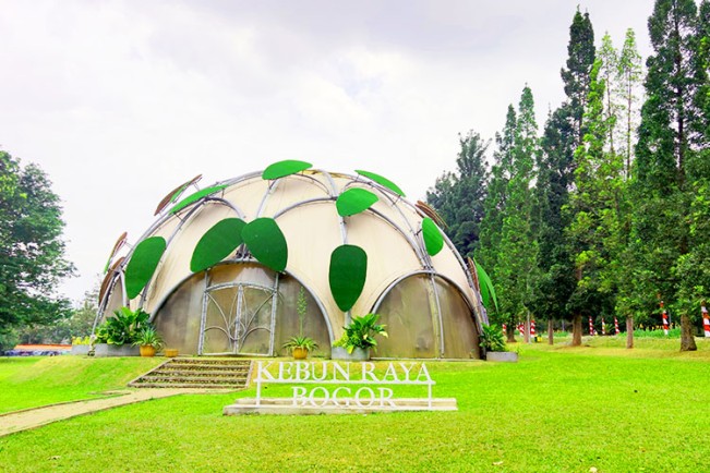 Liburan Akhir Pekan ke Kebun Raya Bogor: Harga Tiket, Rute KRL, dan Jam Buka