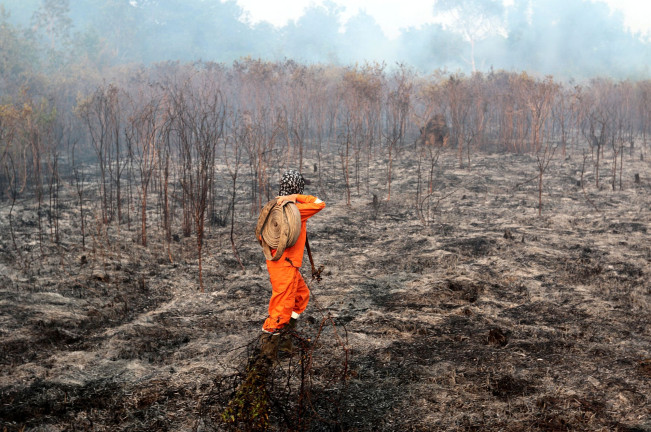 Fatwa MUI: Haramkan Deforestasi dan Bakar Hutan Lahan