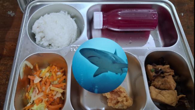 Bahaya Tersembunyi di Menu MBG: Mengapa Daging Hiu Bisa Mematikan?