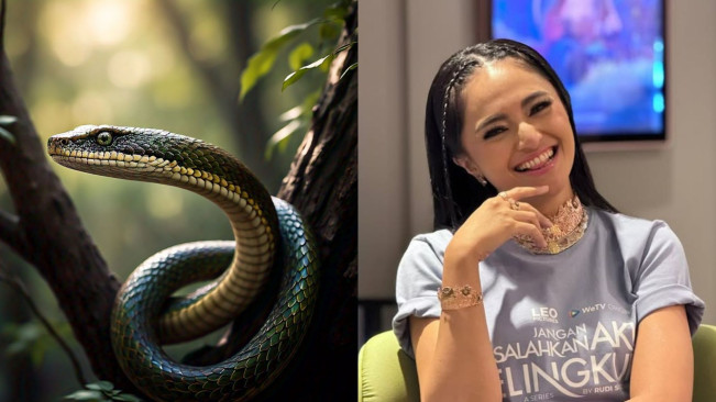 5 Artis Shio Ular Kayu Diprediksi Bersinar di Tahun 2025: Marshanda Hingga Tiara Andini