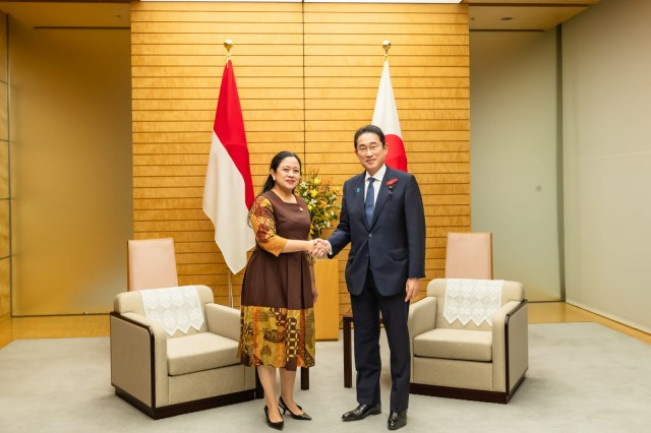 DPR Ajak Jepang Investasi Proyek IKN Nusantara
