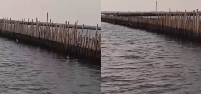 KKP: Pagar Laut di Bekasi Tidak Punya Izin PKKPRL