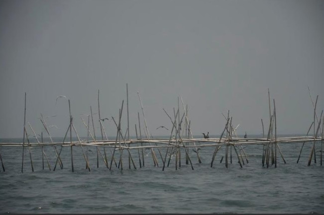Alamat PT Cahaya Inti Sentosa Pemilik Sertifikat Pagar Laut Tangerang Fiktif, Ternyata Tempat Fitness!