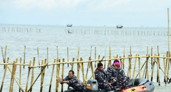 5 Fakta Pembongkaran Pagar Laut di Tangerang