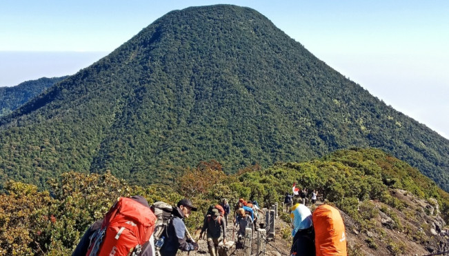 Aktivitas Kegempaan Menurun, Pendakian Gunung Gede Pangrango Bakal Dibuka Lagi?
