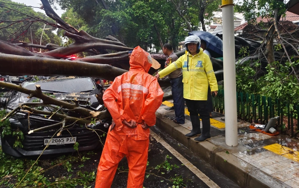Harga dan Simulasi Cicilan Kredit Toyota Avanza, Jadi Salah Satu Korban Pohon Tumbang di Kebayoran Baru