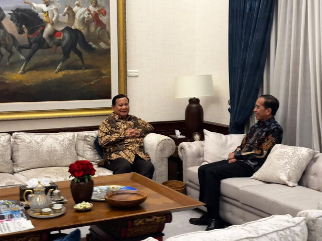 Terbuka Terima Jokowi Usai Dipecat PDIP, Dasco Gerindra: Tapi Nggak Tahu Mau Masuk atau Punya Rencana Lain