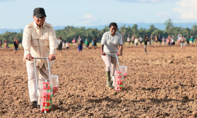 Presiden Prabowo Subianto di ladang jagung menyemai bibit. [Istimewa]