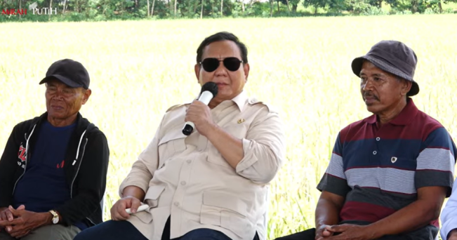 Prabowo: Banyak Negara Alami Kelangkaan Telur, Indonesia Surplus dan Harga Turun
