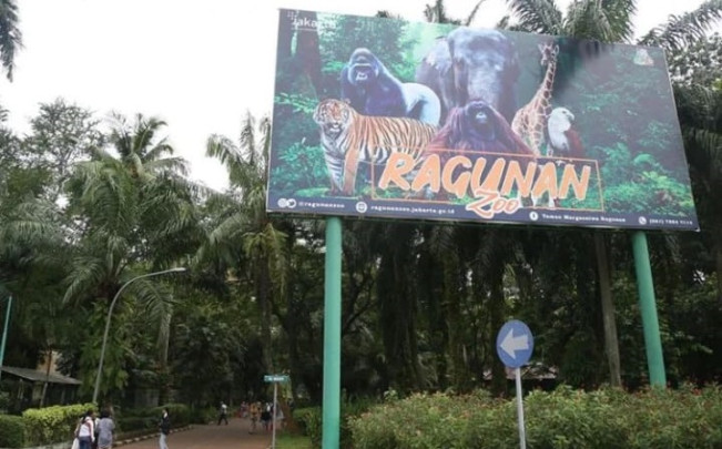 Taman Margasatwa Ragunan. [Dok. Istimewa]
